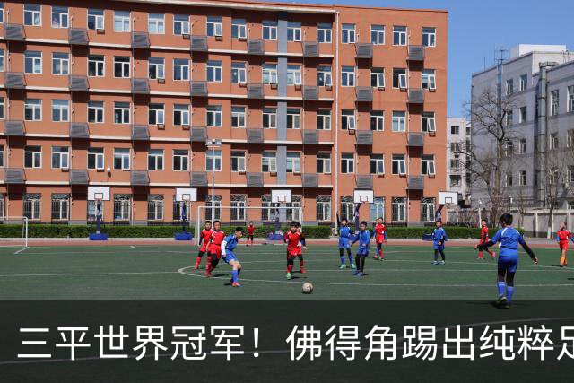三平世界冠军！佛得角踢出纯粹足球 蓝鲨奇迹永留世界杯史册